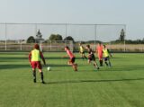 Training Schouwen-Duiveland Selectie Onder 13 & 14 op sportpark 'Het Springer' van maandag 5 juni 2023 (18/53)